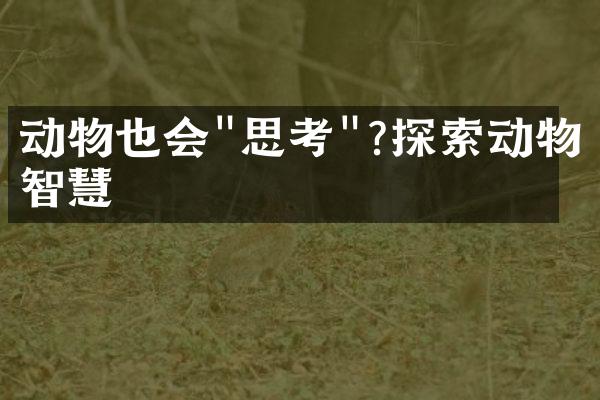 动物也会"思考"?探索动物智慧