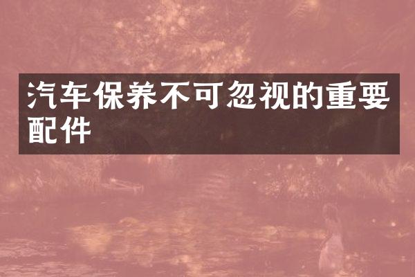汽车保养不可忽视的重要配件