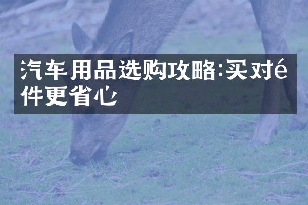 汽车用品选购攻略:买对配件更省心