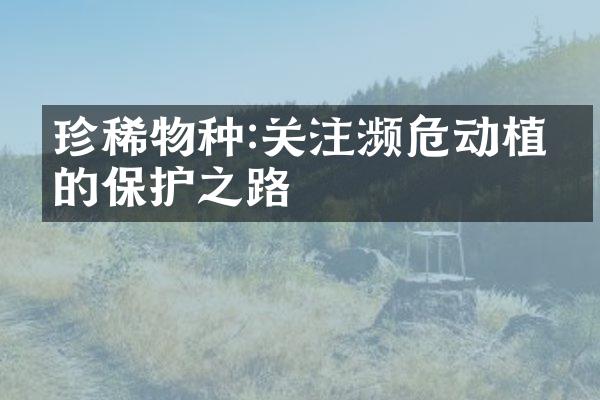 珍稀物种:关注濒危动植物的保护之路