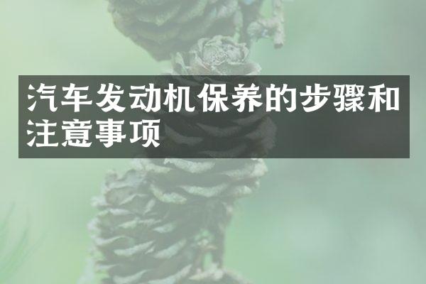 汽车发动机保养的步骤和注意事项