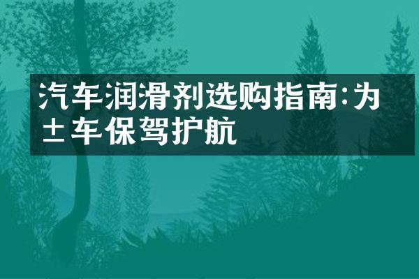汽车润滑剂选购指南:为爱车保驾护航