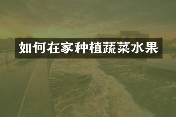 如何在家种植蔬菜水果