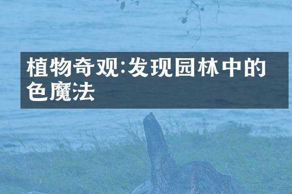 植物奇观:发现园林中的绿色魔法