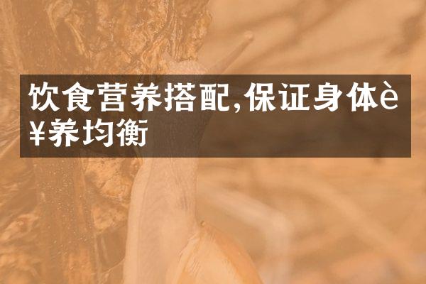 饮食营养搭配,保证身体营养均衡