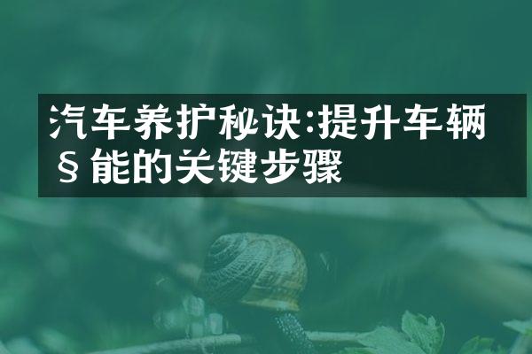 汽车养护秘诀:提升车辆性能的关键步骤