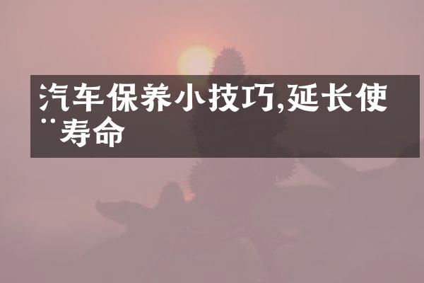 汽车保养小技巧,延长使用寿命