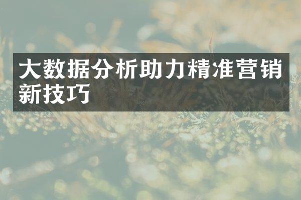 大数据分析助力精准营销新技巧