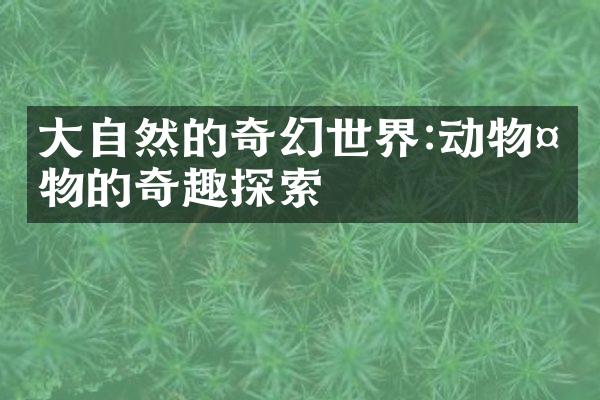 大自然的奇幻世界:动物植物的奇趣探索