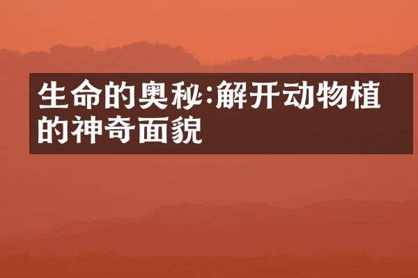 生命的奥秘:解开动物植物的神奇面貌