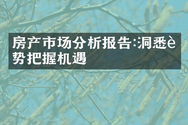 房产市场分析报告:洞悉趋势把握机遇