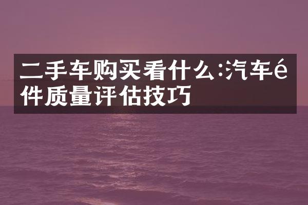 二手车购买看什么:汽车配件质量评估技巧