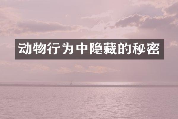 动物行为中隐藏的秘密