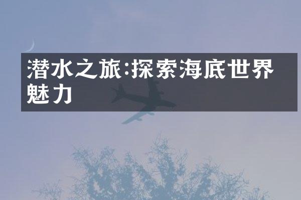 潜水之旅:探索海底世界的魅力