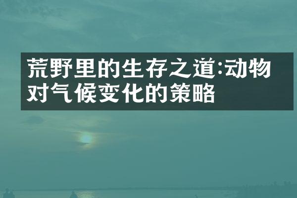 荒野里的生存之道:动物应对气候变化的策略