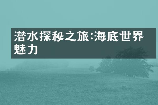 潜水探秘之旅:海底世界的魅力