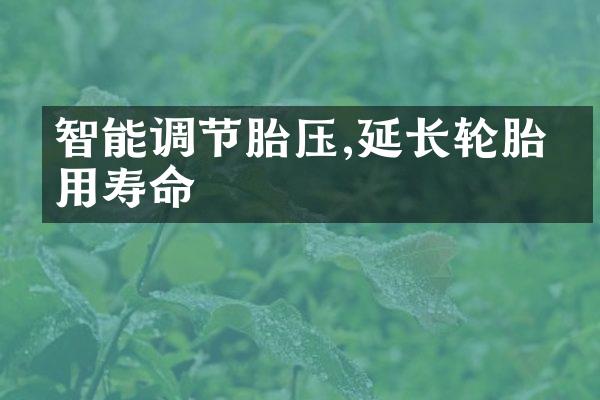 智能调节胎压,延长轮胎使用寿命