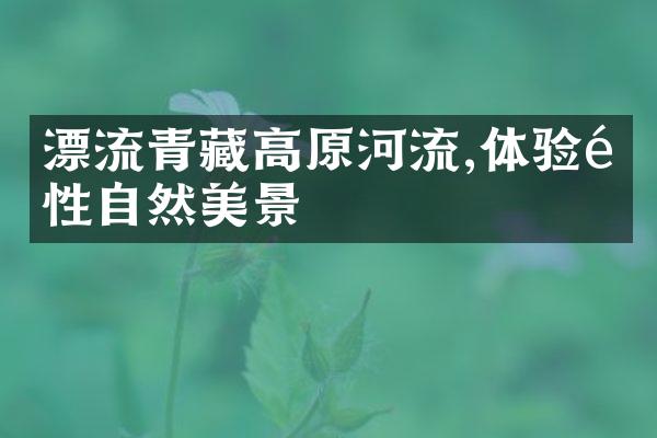 漂流青藏高原河流,体验野性自然美景