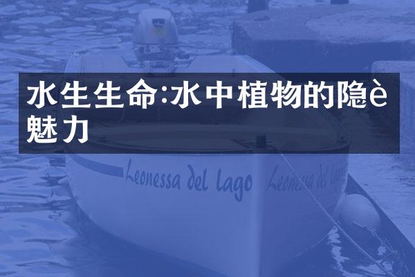水生生命:水中植物的隐藏魅力
