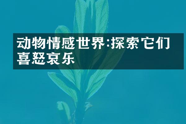 动物情感世界:探索它们的喜怒哀乐