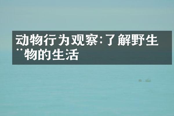 动物行为观察:了解野生动物的生活