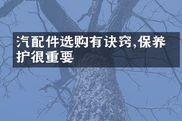 汽配件选购有诀窍,保养养护很重要