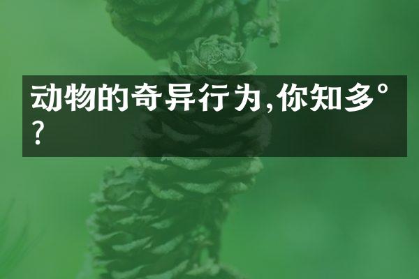动物的奇异行为,你知多少?