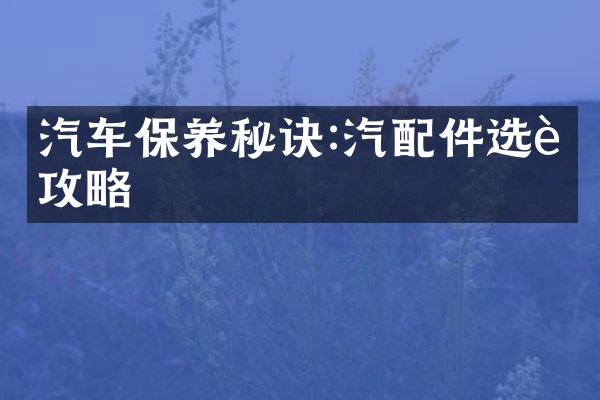 汽车保养秘诀:汽配件选购攻略