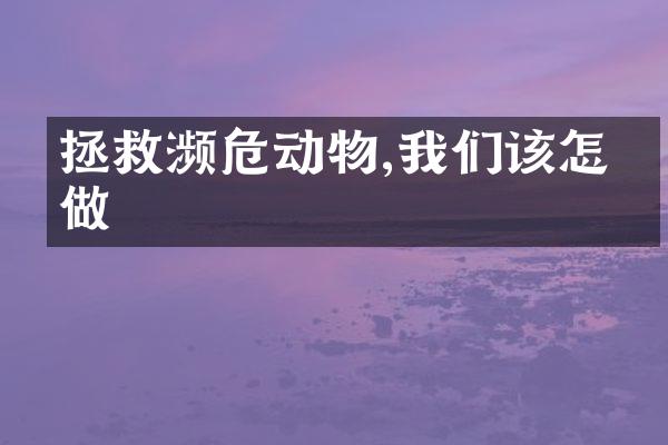 拯救濒危动物,我们该怎么做