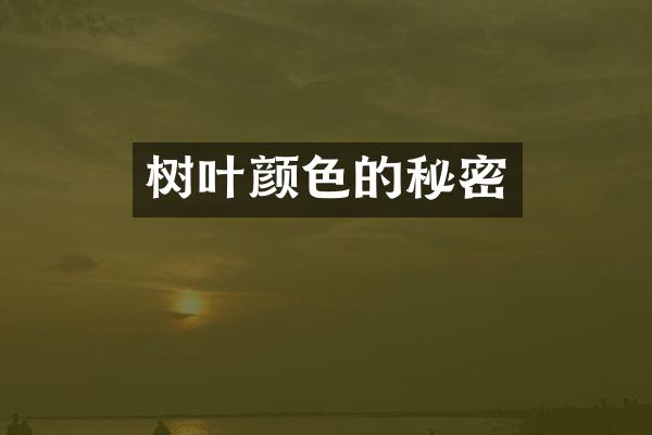 树叶颜色的秘密