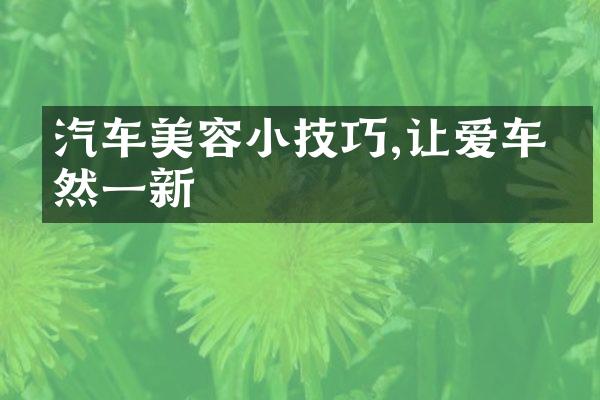 汽车美容小技巧,让爱车焕然一新
