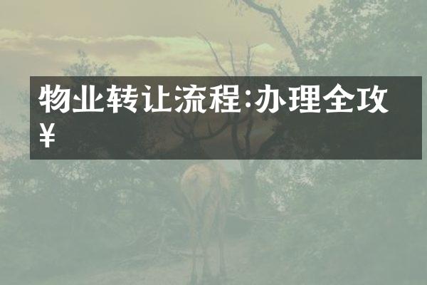 物业转让流程:办理全攻略