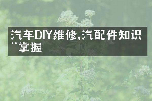 汽车DIY维修,汽配件知识全掌握