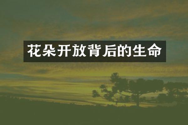 花朵开放背后的生命