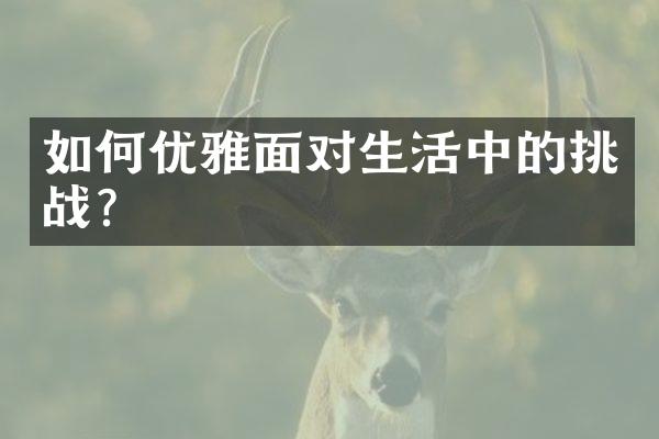 如何优雅面对生活中的挑战?