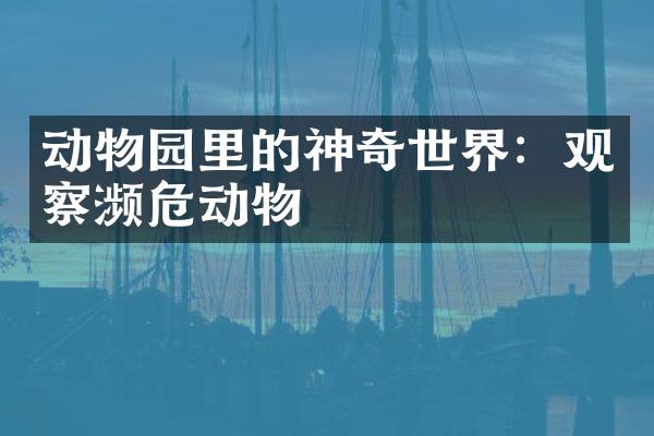 动物园里的神奇世界：观察濒危动物