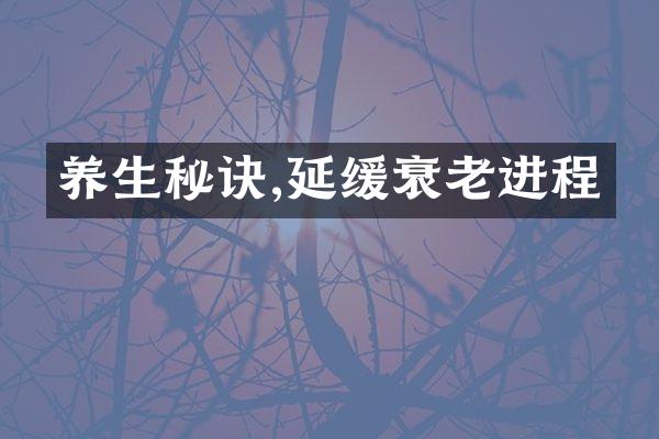 养生秘诀,延缓衰老进程