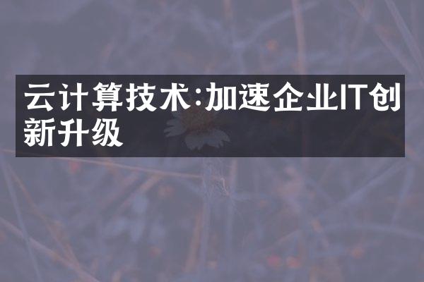 云计算技术:加速企业IT创新升级