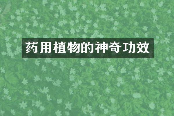 药用植物的神奇功效
