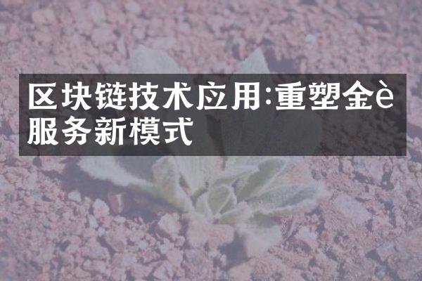 区块链技术应用:重塑金融服务新模式