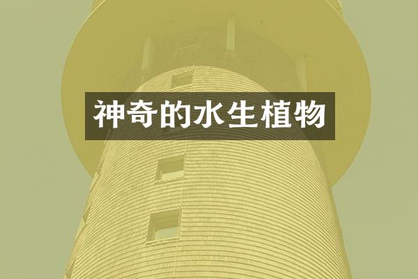 神奇的水生植物