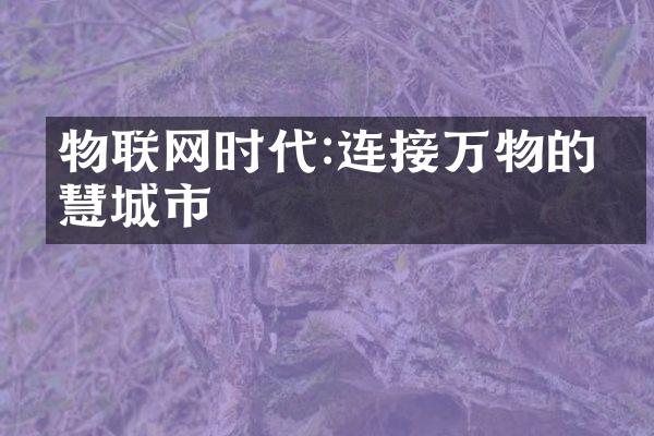 物联网时代:连接万物的智慧城市