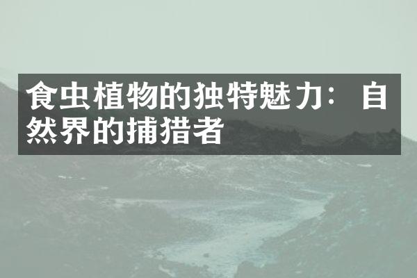 食虫植物的独特魅力：自然界的捕猎者