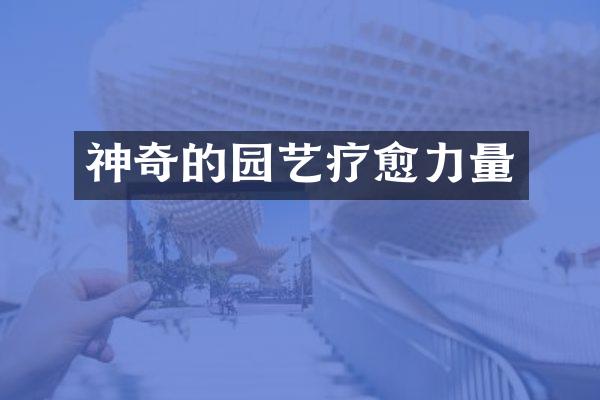 神奇的园艺疗愈力量