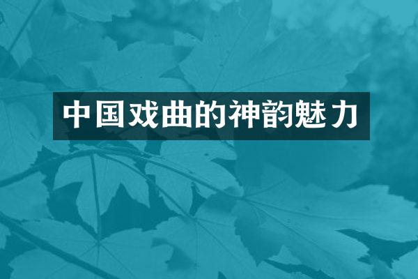 中国戏曲的神韵魅力