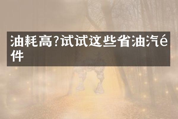 油耗高?试试这些省油汽配件