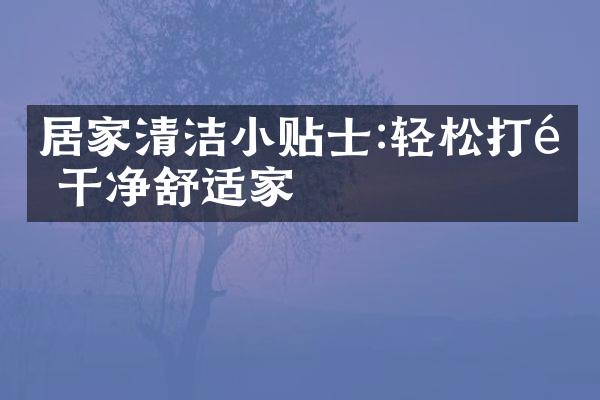 居家清洁小贴士:轻松打造干净舒适家
