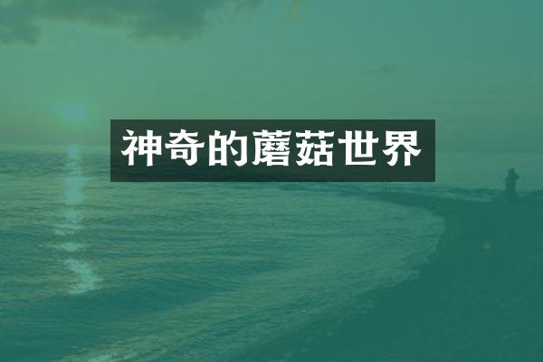 神奇的蘑菇世界