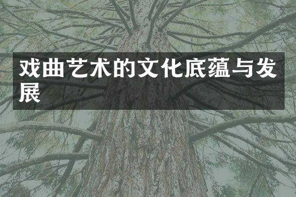 戏曲艺术的文化底蕴与发展