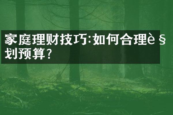 家庭理财技巧:如何合理规划预算?